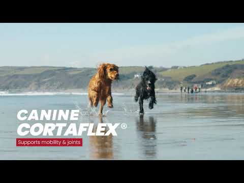 Canine cortaflex clearance