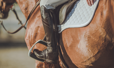 Essential Stretches for Riders