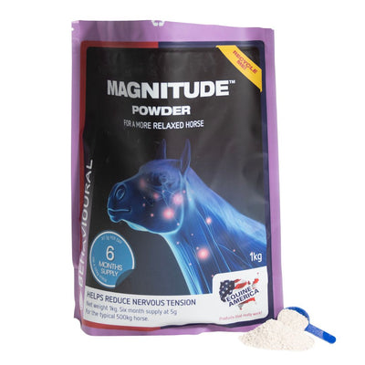 Magnitude Powder 1kg 